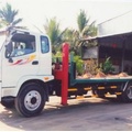 Xe chở xe máy THACO OLLIN 800A-CS 7,7 tấn