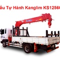 Cẩu Tự Hành Kanglim KS1256G2 (6,6 tấn)